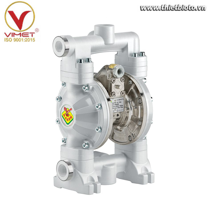 Bơm màng 60 lít/phút Raasm 2B3/16117NH52